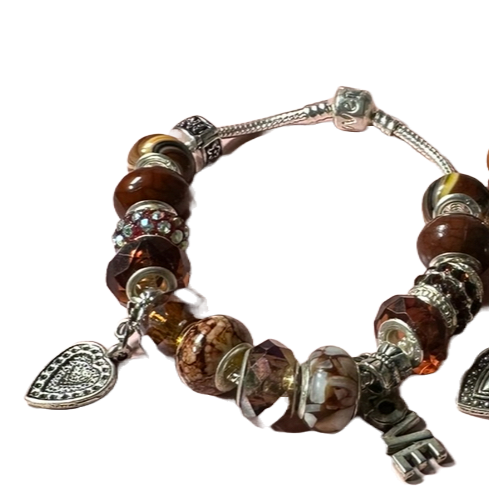 Brown Charm Bracelet image 0